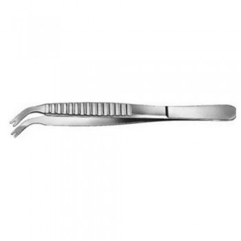 Aiach Columella Suturing Forcep Stainless Steel, 15.5 cm - 6" Width 5.0 mm